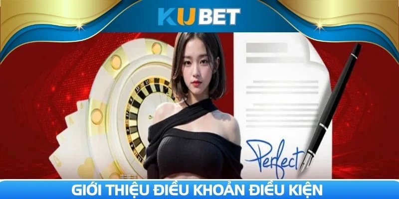 Một vài nét về điều khoản và điều kiện nhà cái